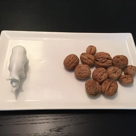 شقة Cocoma ميونيخ